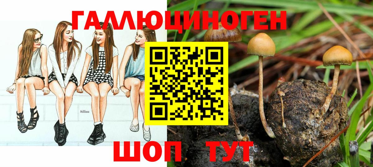 Галлюциногенные грибы прущие грибы Гусев